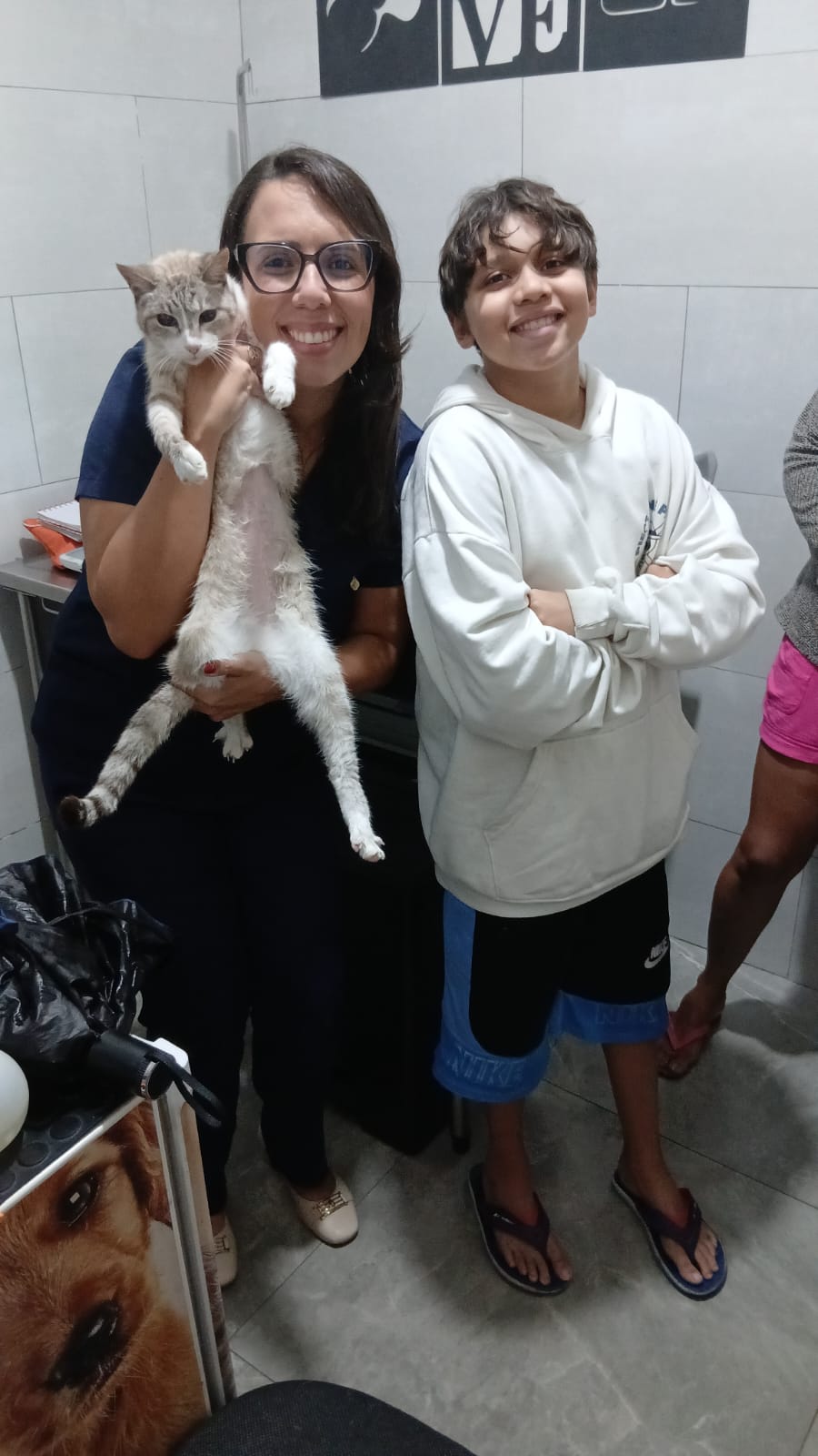 Atendimento veterinário de gato na Vet Love St